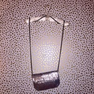 j.crew - silver crossbody evening bag